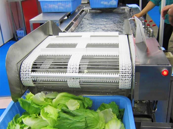 Vegetable cleaning line (cleaning part)