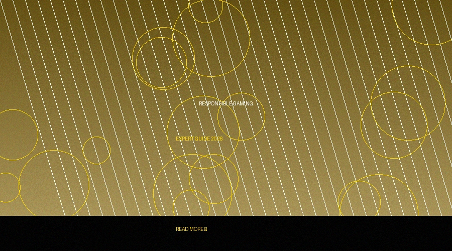 负责任博彩指南文章封面